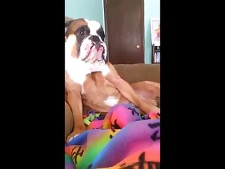Extreme Bdsm Torture Porn