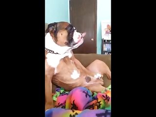 Extreme Bdsm Torture Porn